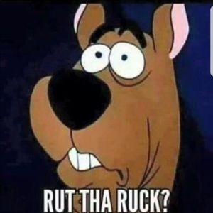 Meet your Posher, Yvette